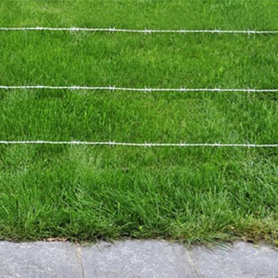 Barbed Wire 500 m.,  Barbed Wire 500 m.