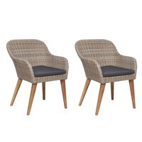 vidaXL Outdoor Chairs with Cushions 2 pcs Poly Rattan Brown, brown vidaXL Outdoor Chairs with Cushions 2 pcs Poly Rattan Brown