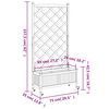 Product Thumbnail Image 10 of 10