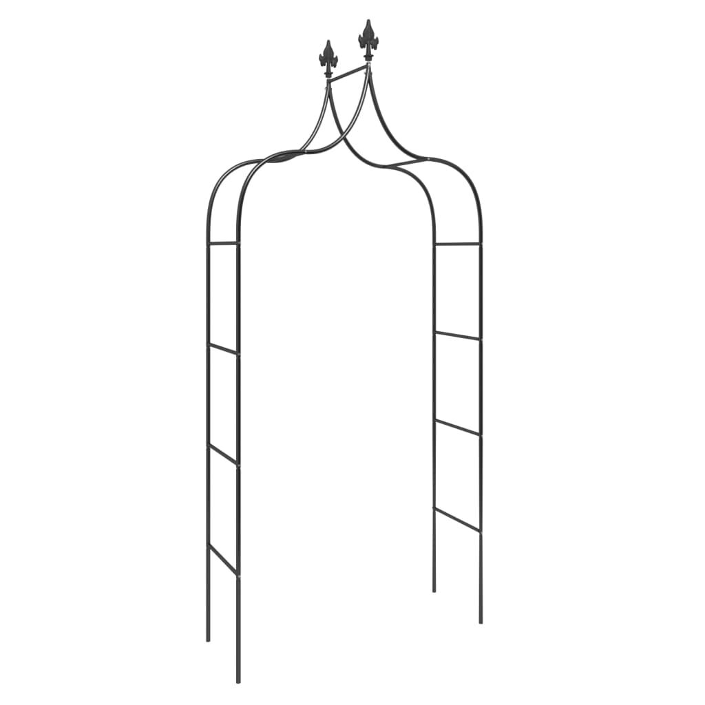 vidaXL Garden Arches 2 pcs Black 120x38x260 cm Steel