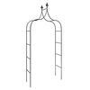 vidaXL Garden Arches 2 pcs Black 120x38x260 cm Steel