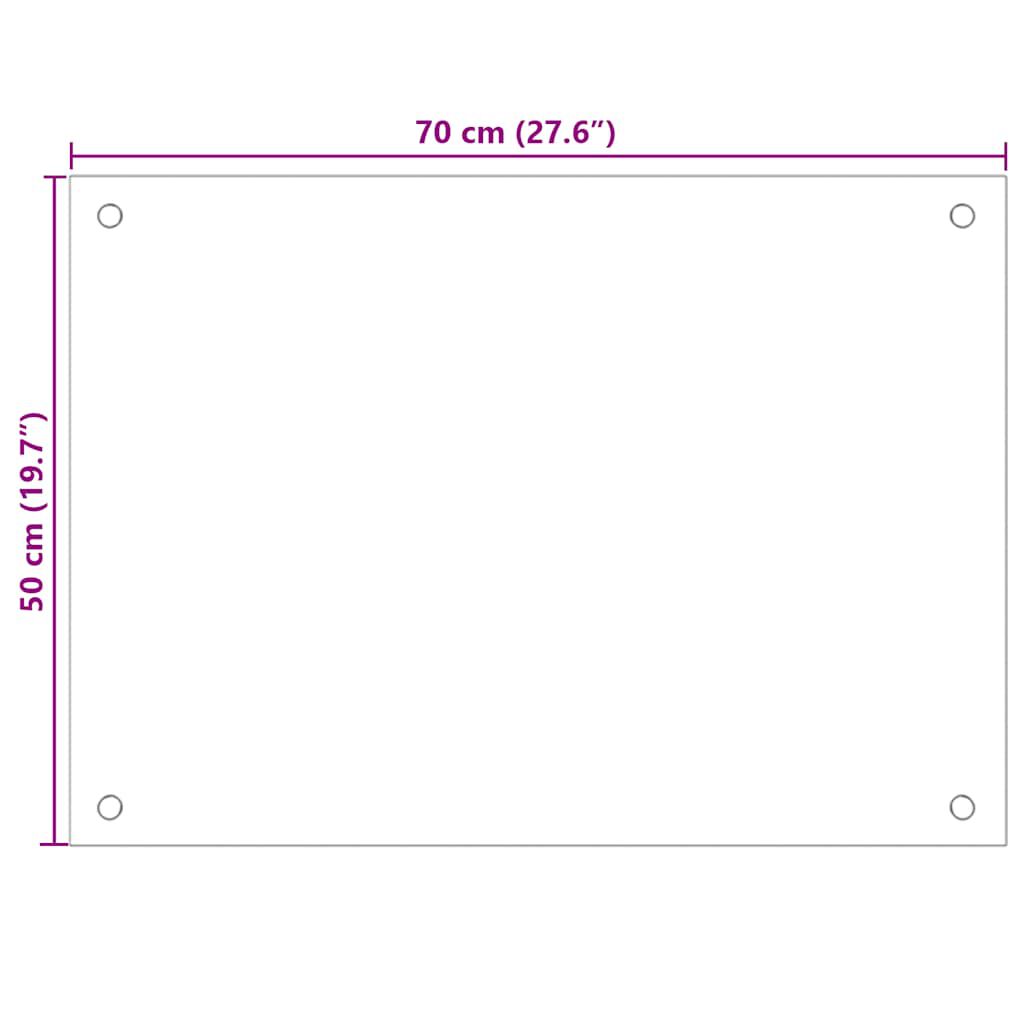 vidaXL Kitchen Backsplashes 2 pcs Transparent 70x50 cm Tempered Glass