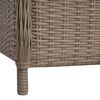 vidaXL Outdoor Chairs with Cushions 2 pcs Poly Rattan Brown