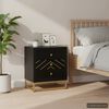 vidaXL Bedside Cabinet Black and Gold 40x30x50 cm Solid Mango Wood