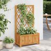 vidaXL Garden Raised Bed with Trellis Solid Acacia Wood