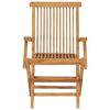 vidaXL Folding Garden Chairs 2 pcs Solid Teak Wood