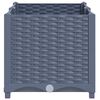 Product Thumbnail Image 4 of 9