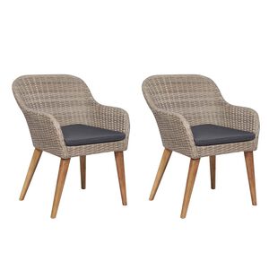 vidaXL Outdoor Chairs with Cushions 2 pcs Poly Rattan Brown