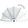 vidaXL Pool Dome 500x250 cm