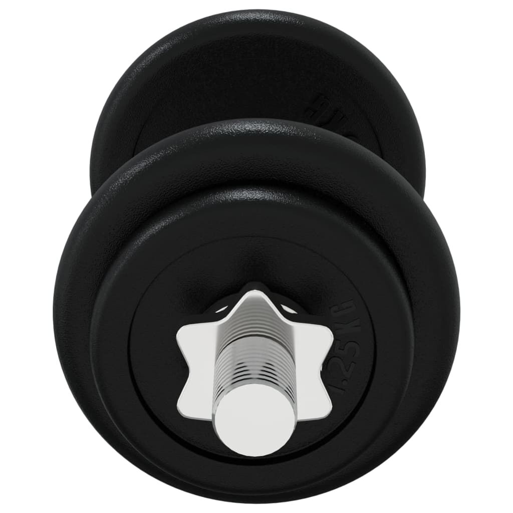 vidaXL Dumbbell with Plates Set 40 kg Cast Iron & Chrome Plated Steel