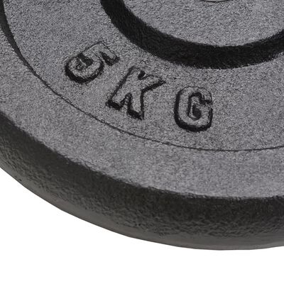 vidaXL Weight Plates 4 pcs 2x10 kg+2x5 kg Cast Iron,  vidaXL Weight Plates 4 pcs 2x10 kg+2x5 kg Cast Iron