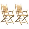 vidaXL Folding Chairs 2 pcs 53x66x99 cm Bamboo
