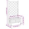 Product Thumbnail Image 9 of 9
