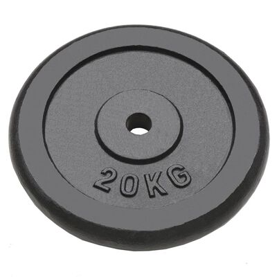 vidaXL Weight Plates 2 pcs 2x20 kg Cast Iron,  vidaXL Weight Plates 2 pcs 2x20 kg Cast Iron