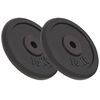 vidaXL Weight Plates 2 pcs 2x10 kg Cast Iron
