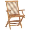 vidaXL Folding Garden Chairs 2 pcs Solid Teak Wood