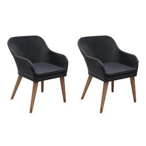vidaXL Outdoor Chairs with Cushions 2 pcs Poly Rattan Black