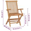 vidaXL Folding Garden Chairs 2 pcs Solid Teak Wood