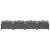 vidaXL Raised Bed 160x40x23 cm Polypropylene