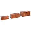 vidaXL Storage Chests 3 pcs Solid Acacia Wood