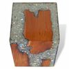 vidaXL Stool Solid Teak Wood and Resin