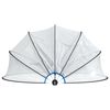vidaXL Pool Dome 500x250 cm