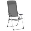 vidaXL Folding Camping Chairs 2 pcs Grey Aluminium