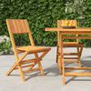 vidaXL Folding Garden Chairs 2 pcs 47x61x90 cm Solid Wood Teak
