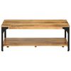 vidaXL 2-Layer Coffee Table 100x55x38 cm Solid Wood Mango and Steel
