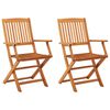 vidaXL Folding Chairs 2 pcs Solid Eucalyptus Wood