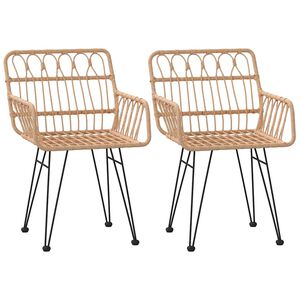 vidaXL Garden Chairs 2 pcs with Armrest 56x64x80 cm PE Rattan