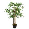 Product Thumbnail Image 2 of 5