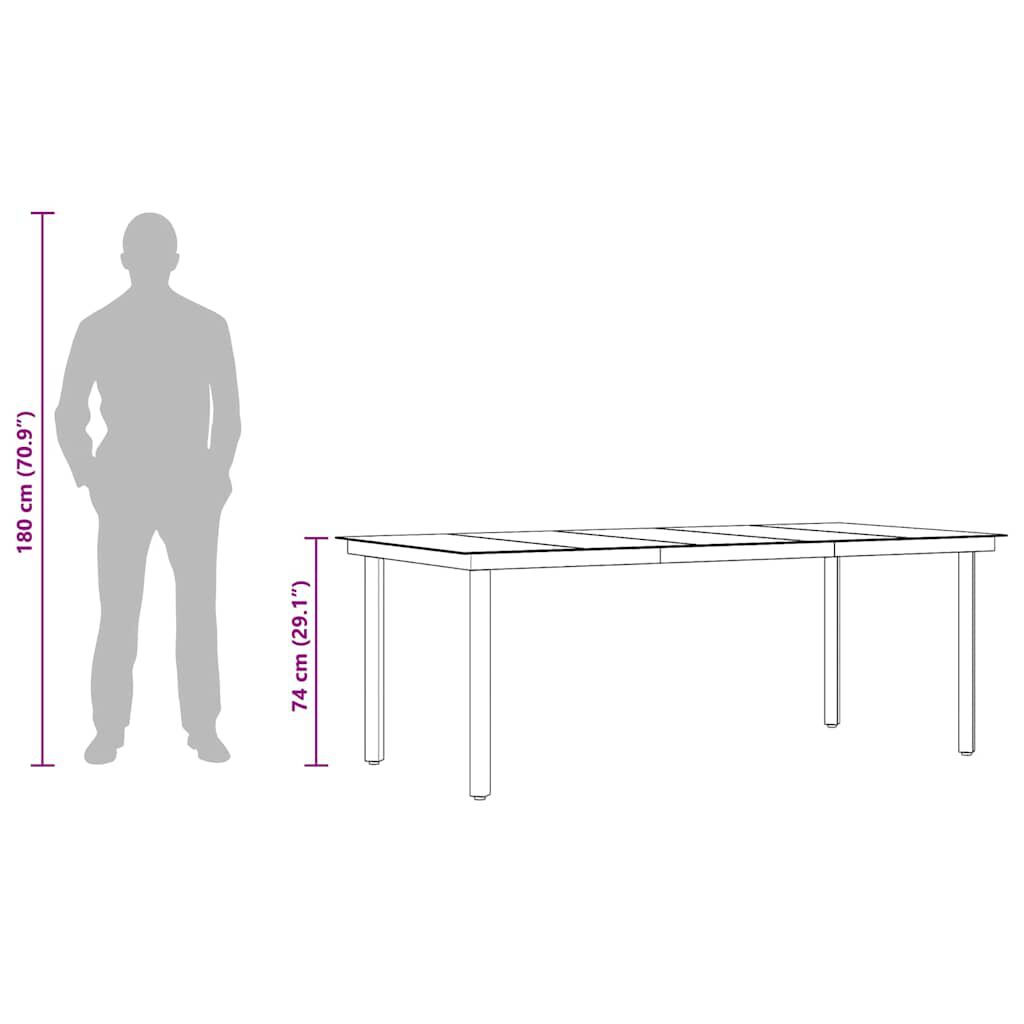 vidaXL Garden Dining Table Black 200x100x74 cm Steel and Glass