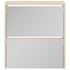 vidaXL Shoe Cabinet 2-Layer Mirror Oak 63x17x67 cm