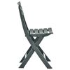 vidaXL Folding Garden Chair 2 pcs Plastic Green